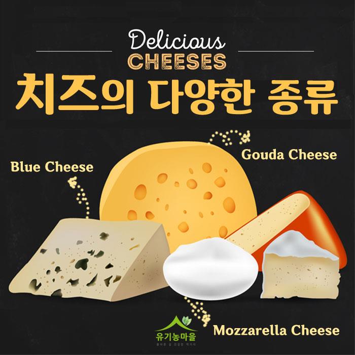 유기농마을 - 치즈의 다양한 종류🧀🧀 #치즈 #치즈종류 #고다치즈 #모짜렐라치즈 #블루치즈 #코티지치즈... | Facebook