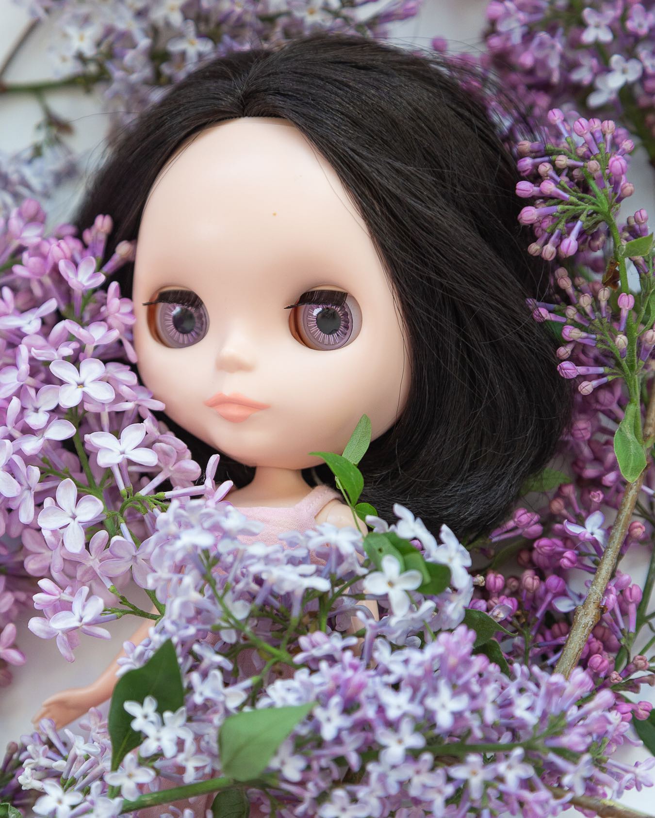 RainbowBlythe - Prima Dolly Tokyo, FBL? & lilac ? #blythedoll 