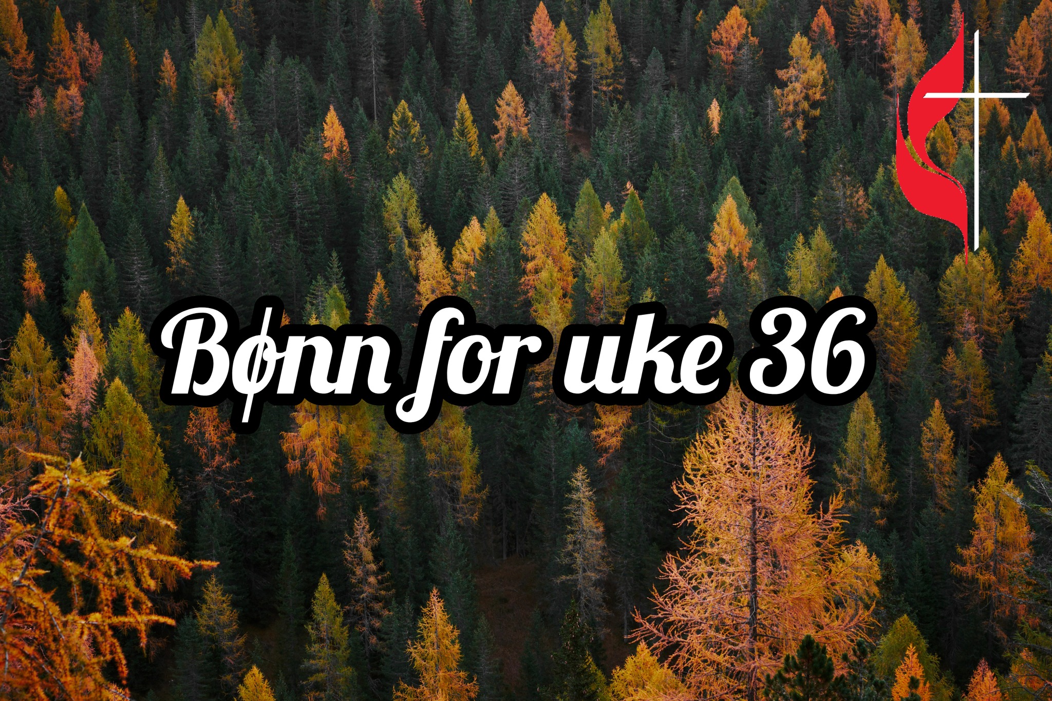 metodistkirken-i-halden-vil-du-v-re-med-p-en-b-nn-for-uke-36-kj-re
