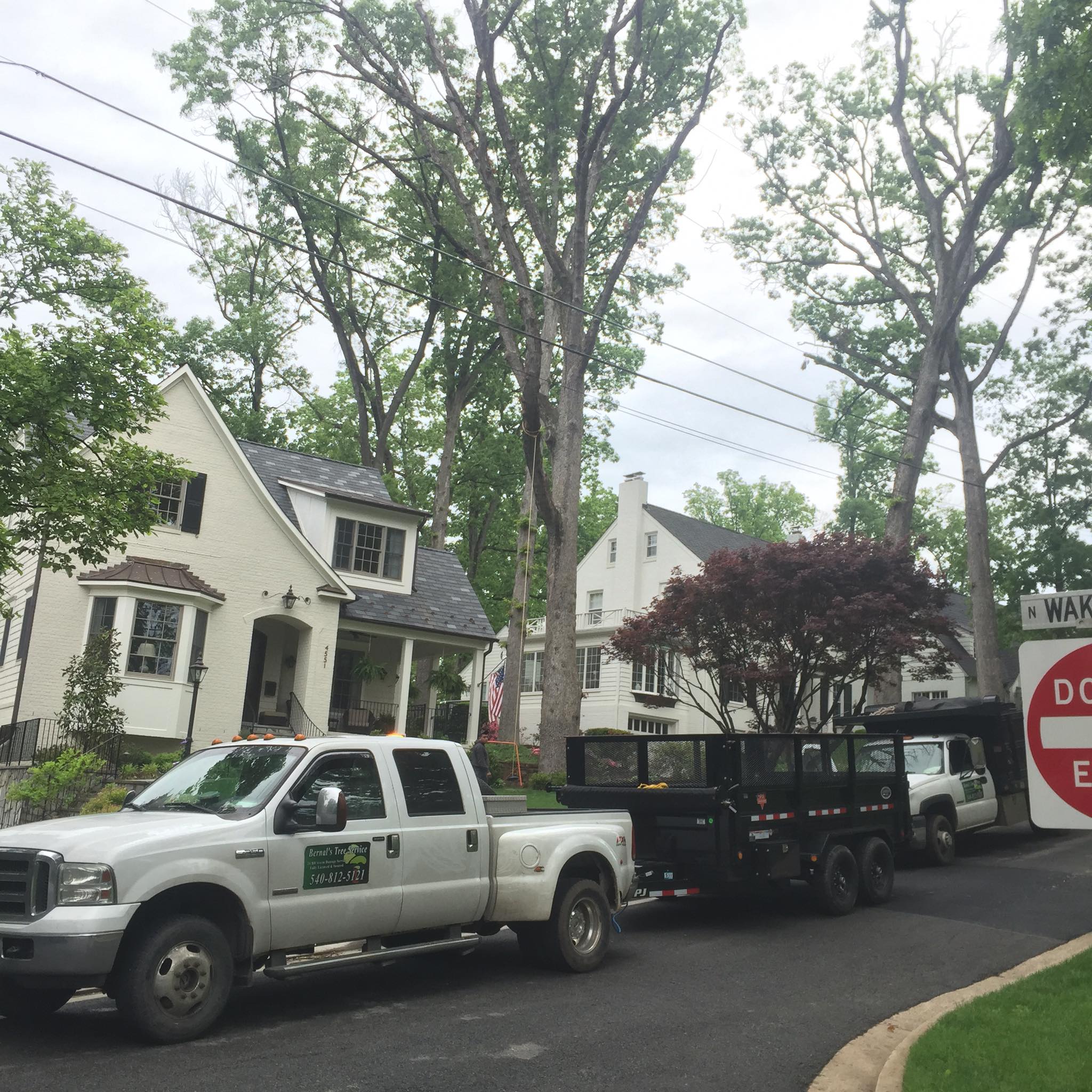 Bernal's Tree Service