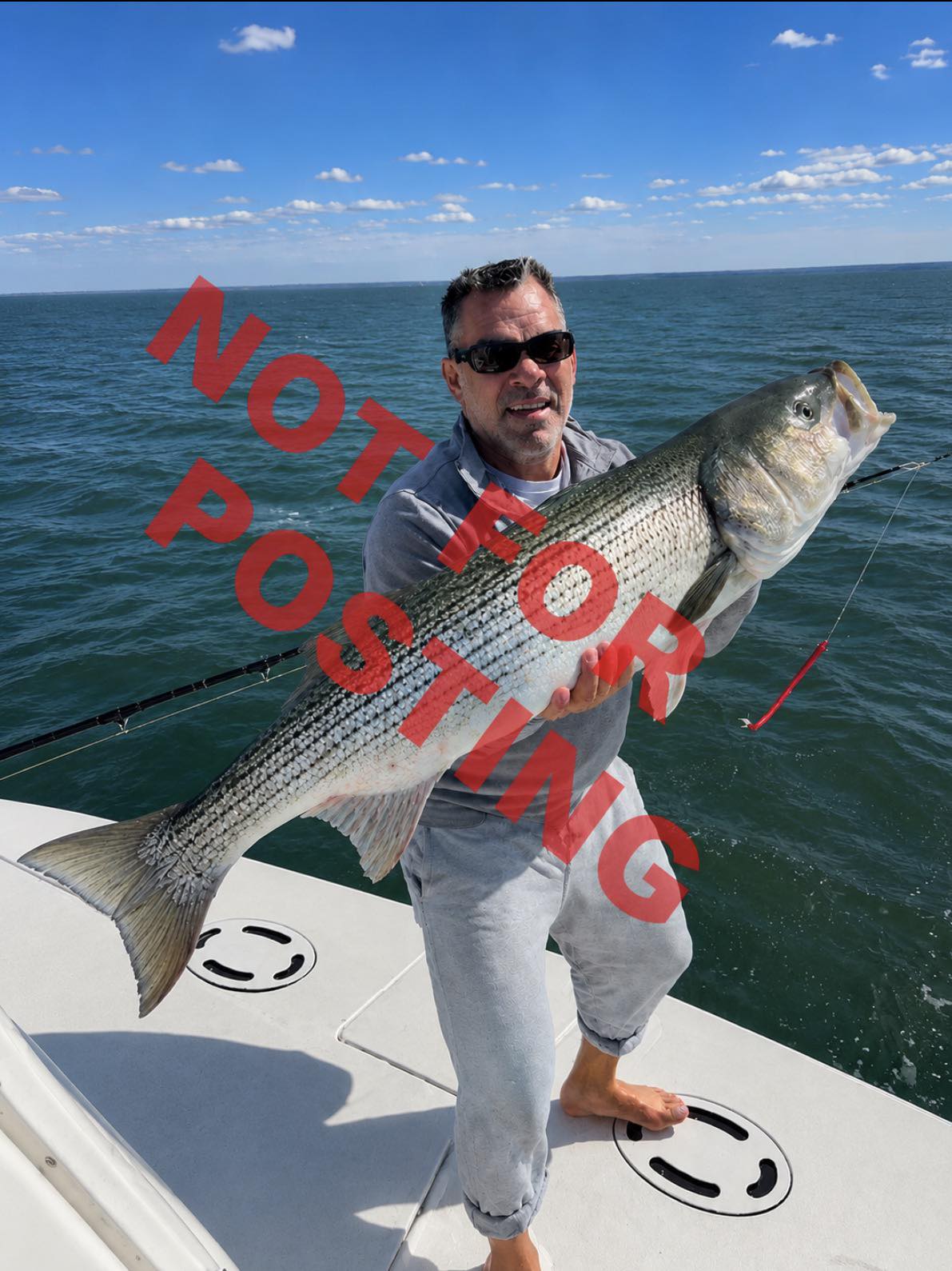 60lb mono fishing line Blue Water 100 Yds. (clear or blue) – Rite Angler and in southern states Using a full rubber Size,Color & Suitable Bait Weight:1154BFS ST bladed swim jig