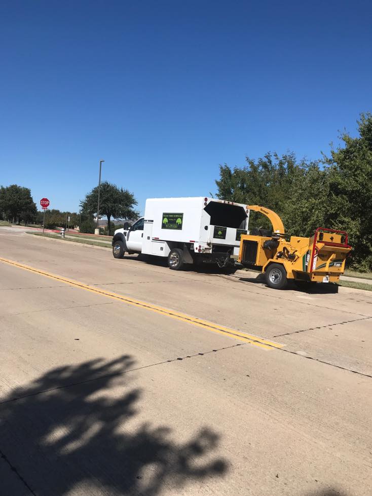 Texas Tree Services | Fort Worth TX