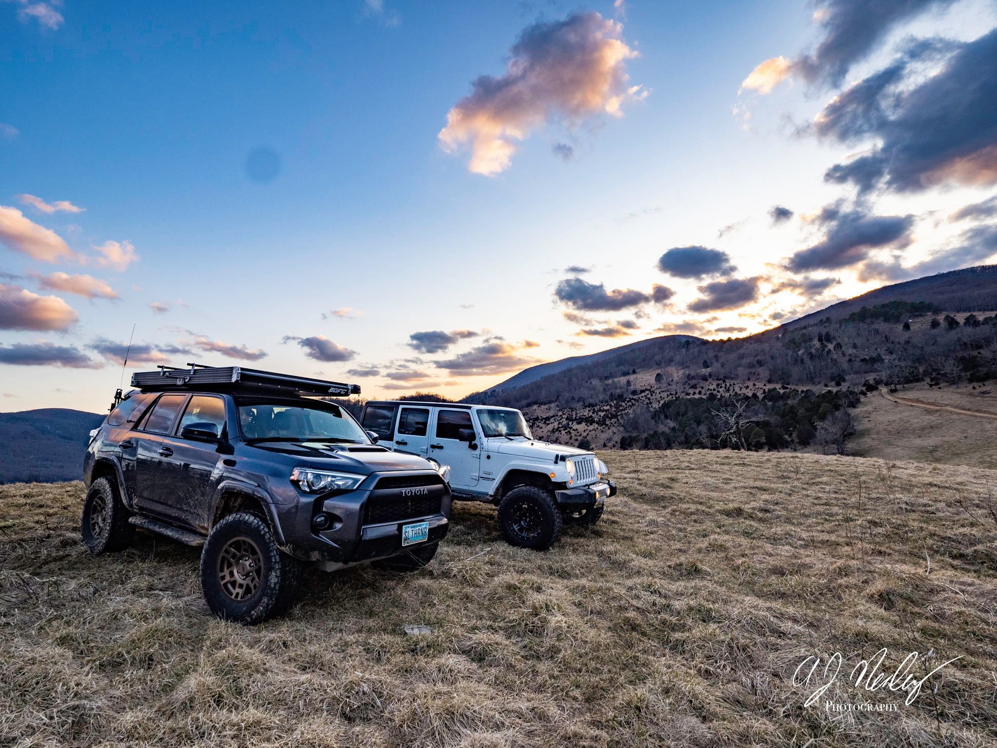 AJ Nealey Photography