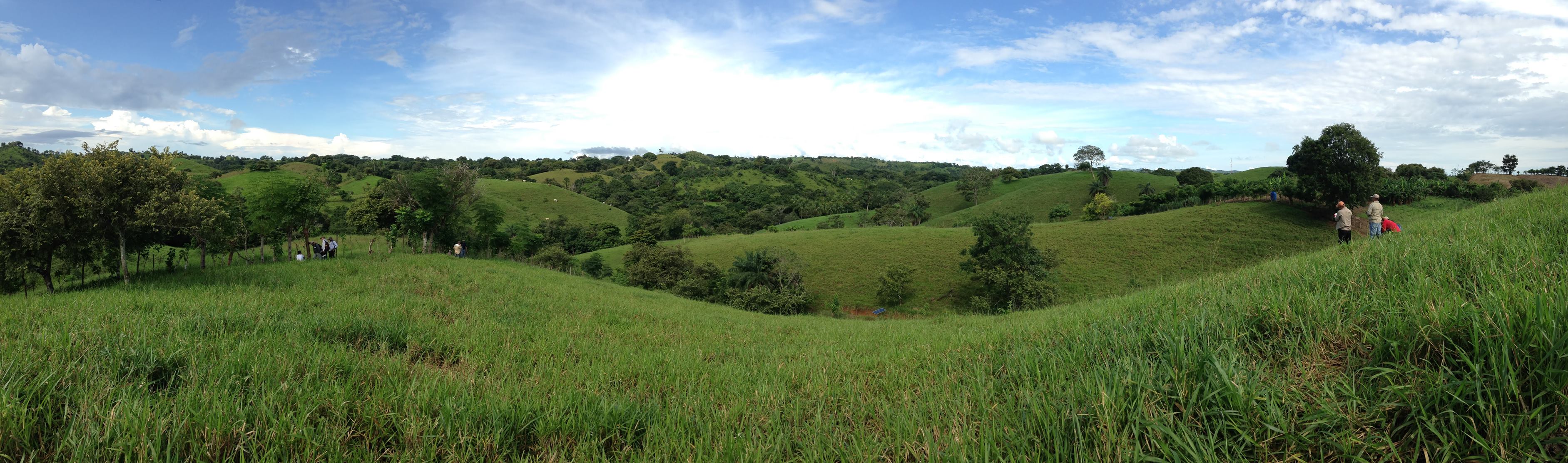 Tropical Forest Landscapes: Yale Online Certificate