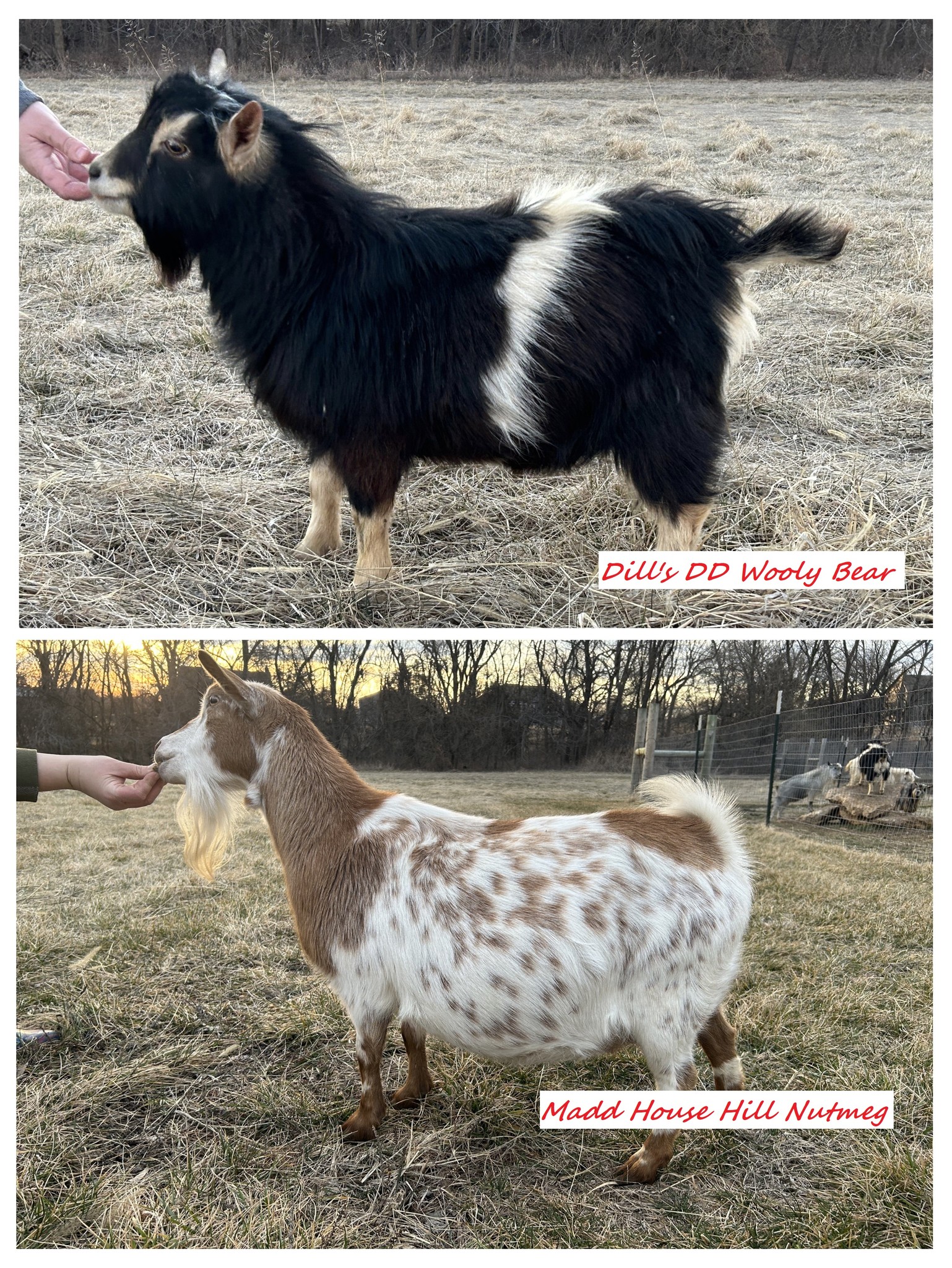 Triple R Family Farm