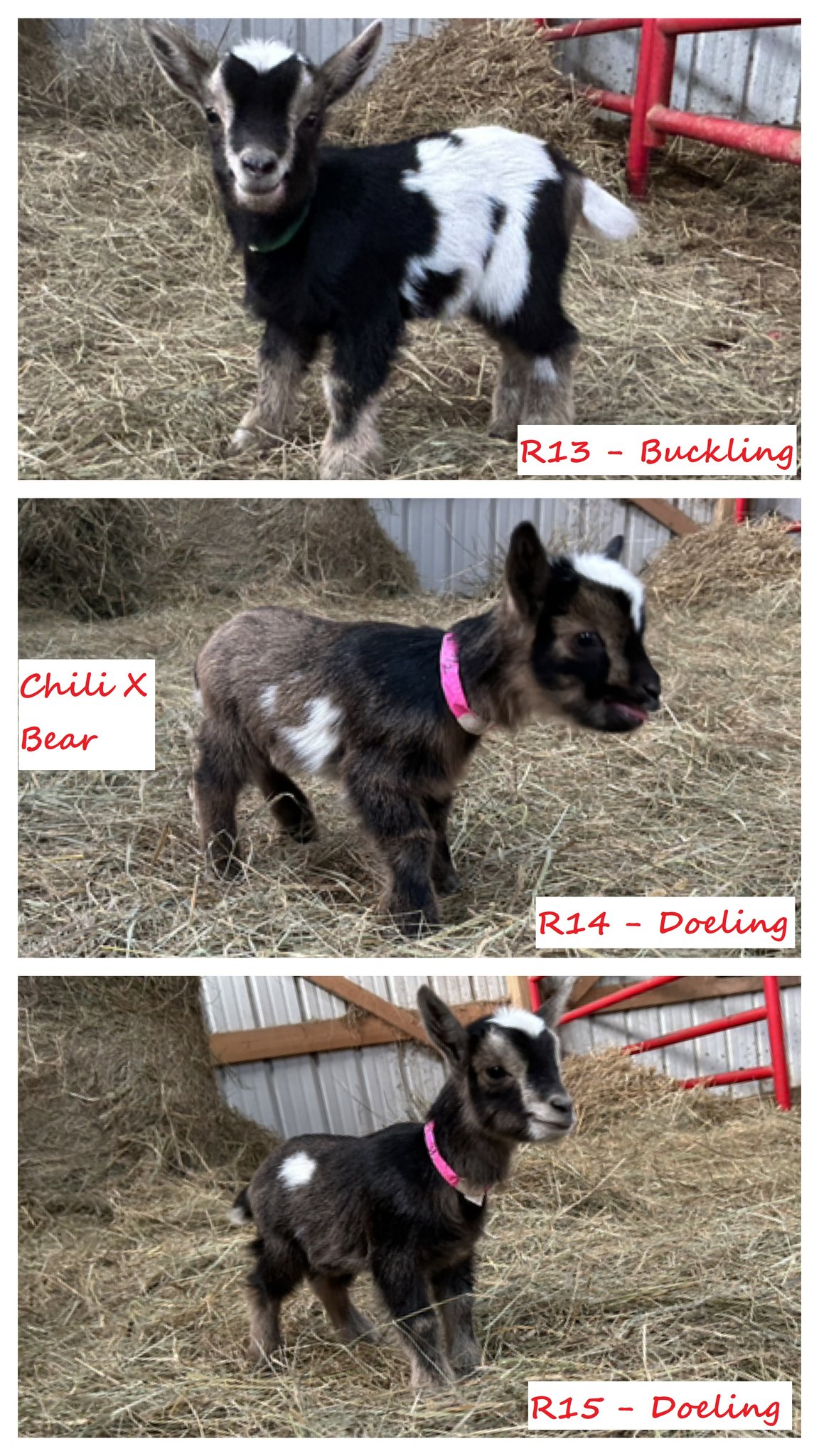 Triple R Family Farm
