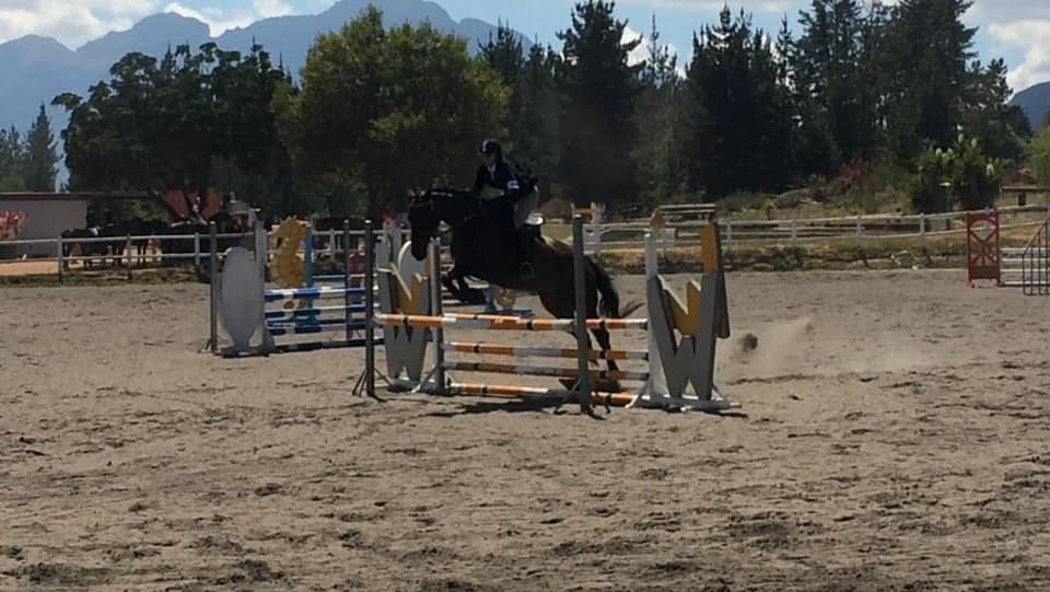 Well done to our riders who competed... - Trinity Equestria | Facebook