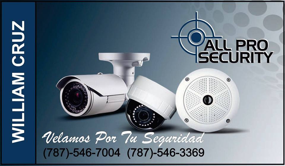 All Pro Security