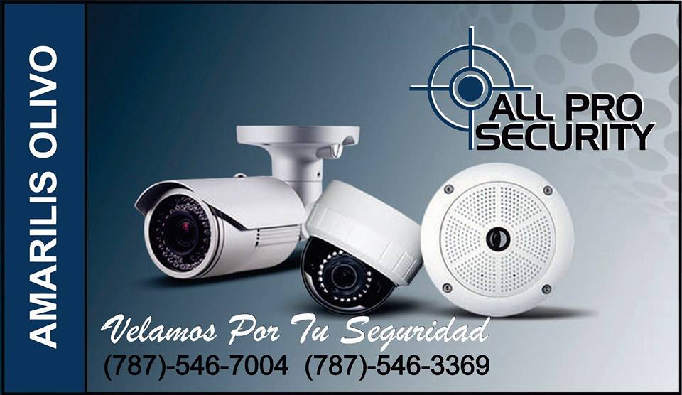 All Pro Security