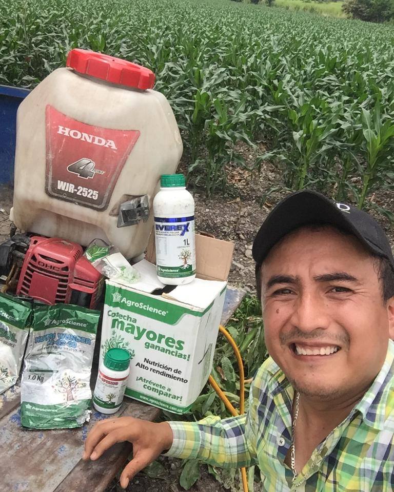 AgroScience - Conoce nuestros paquetes nutricionales para... | Facebook