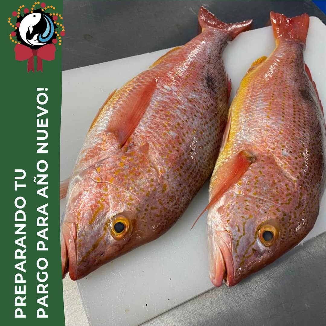 istmofisher - PARGO ROJO GRANDE, para celebrar el AÑO...