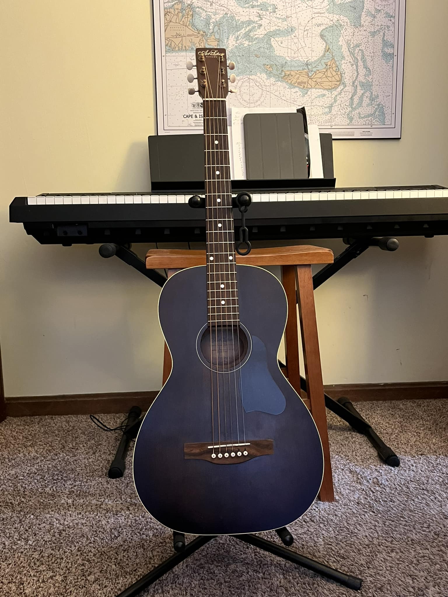 Art & Lutherie AMI cedar parlor blues guitar review