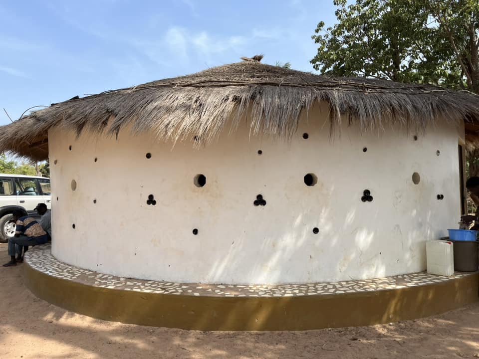 New Faces New Voices Guiné-Bissau | Bissau