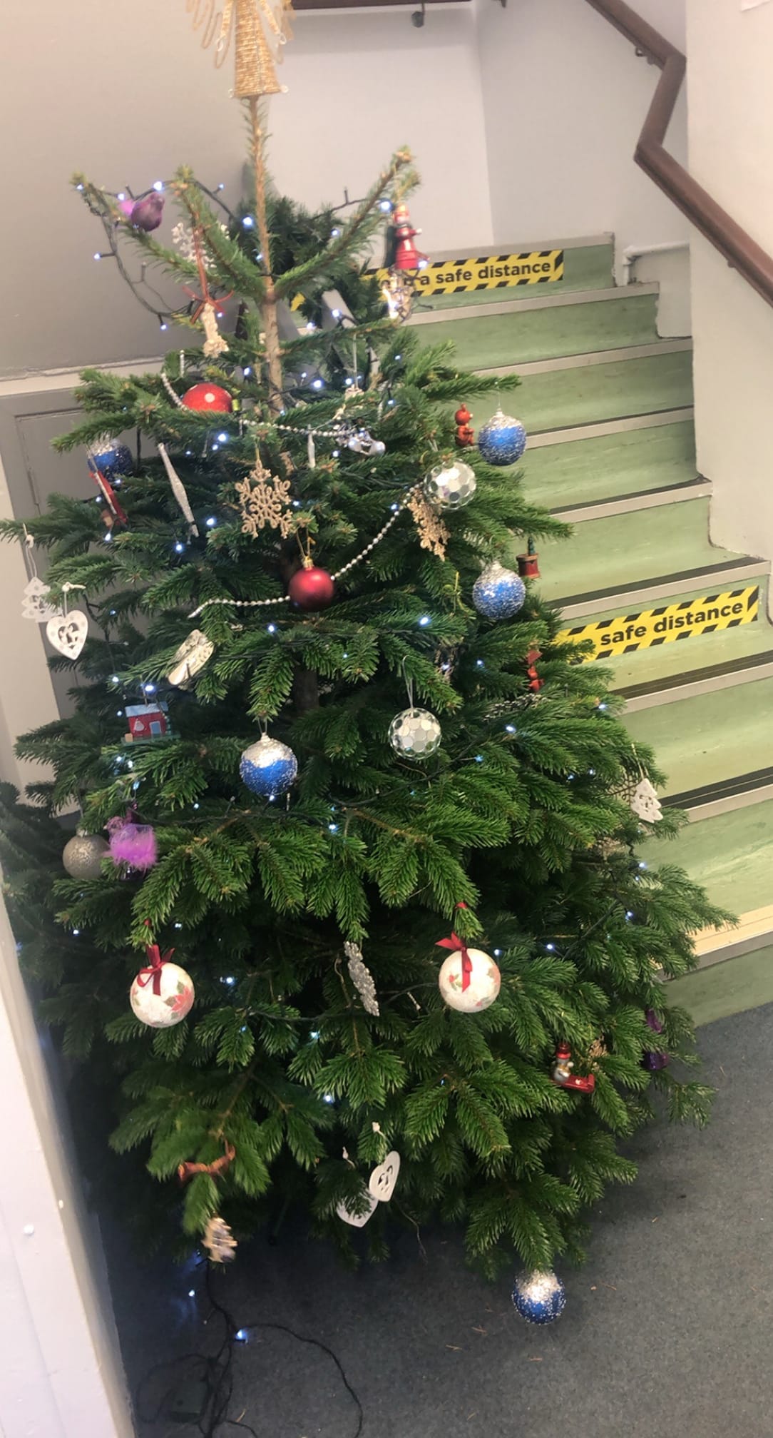 Delighted to see the tree... - Inniscarra Christmas Tree Farm
