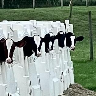Chris Tice - ‘Twas the night before Classification.... | Facebook