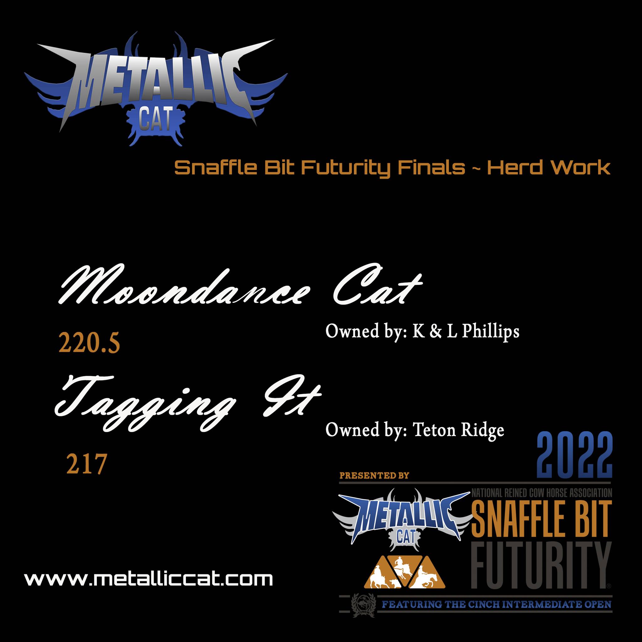 Metallic Cat - The first leg of the Open Finals in...
