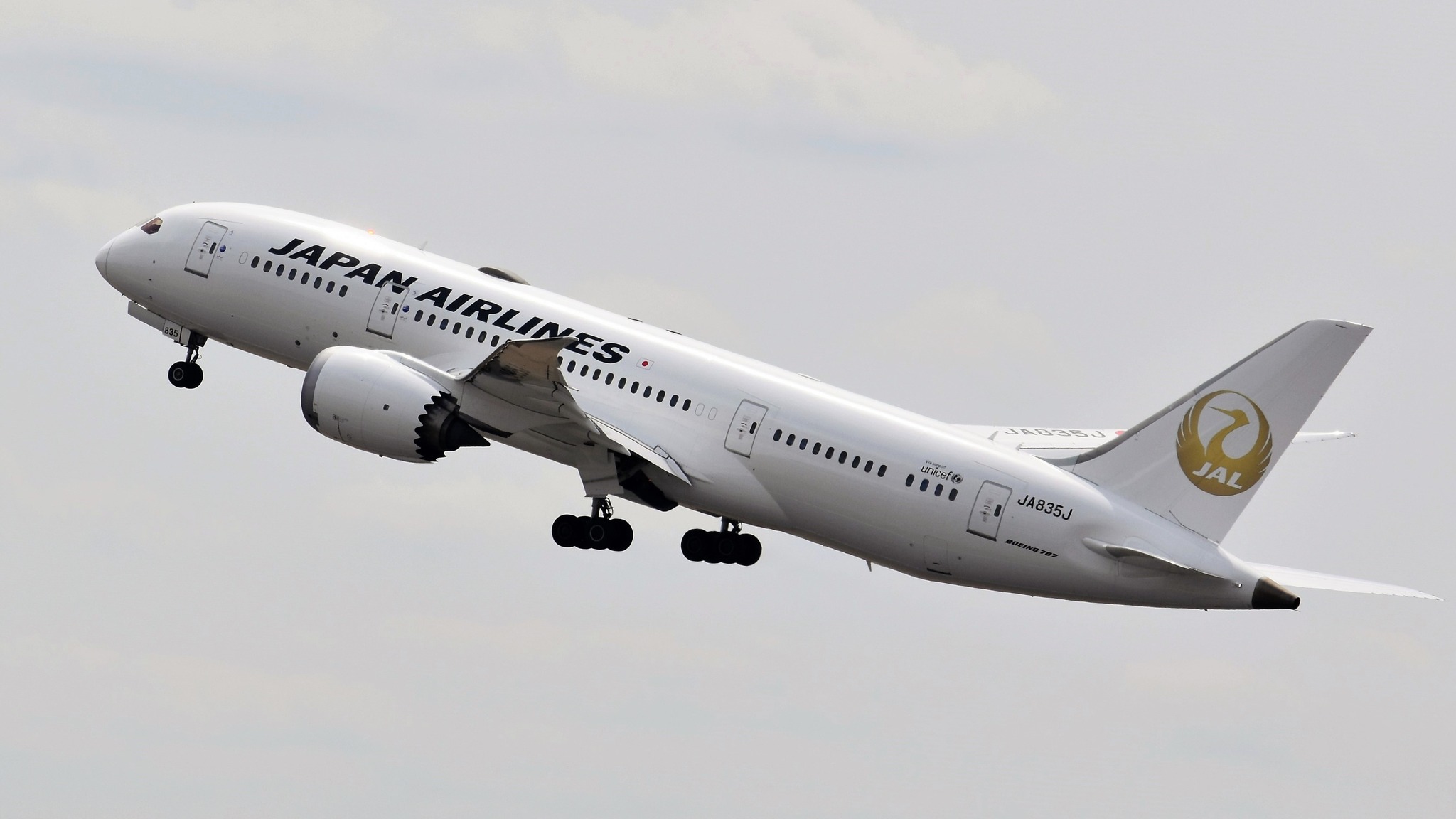 Japan Airlines B787-8 Dreamliner taking off