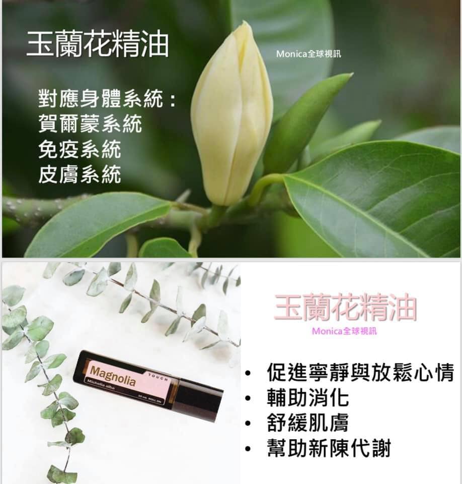 徐巧芸 木蘭花 也稱為玉蘭花 是一種放縱的熱帶花卉 能帶來情感上的舒緩效果 在中國和泰國的傳統健康實踐中 木蘭花被 Facebook