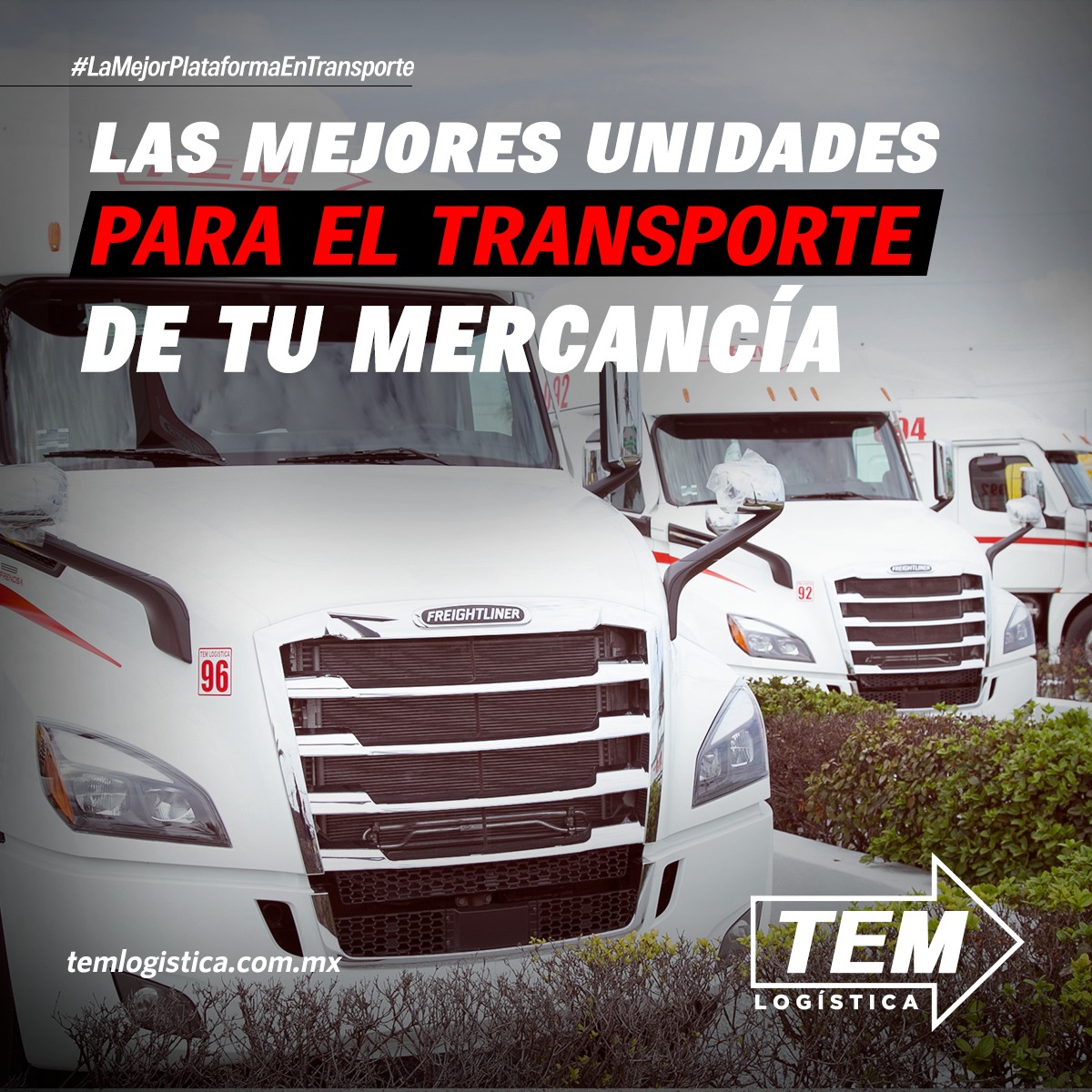 TEM Logística - 🚚🚛 Contamos con flotilla de vanguardia que... | Facebook