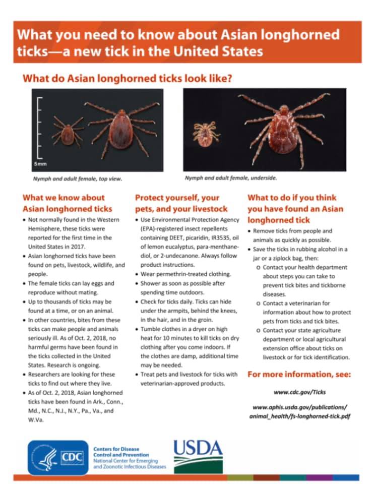 New Tick Alert - disease... - West End Animal Care Clinic