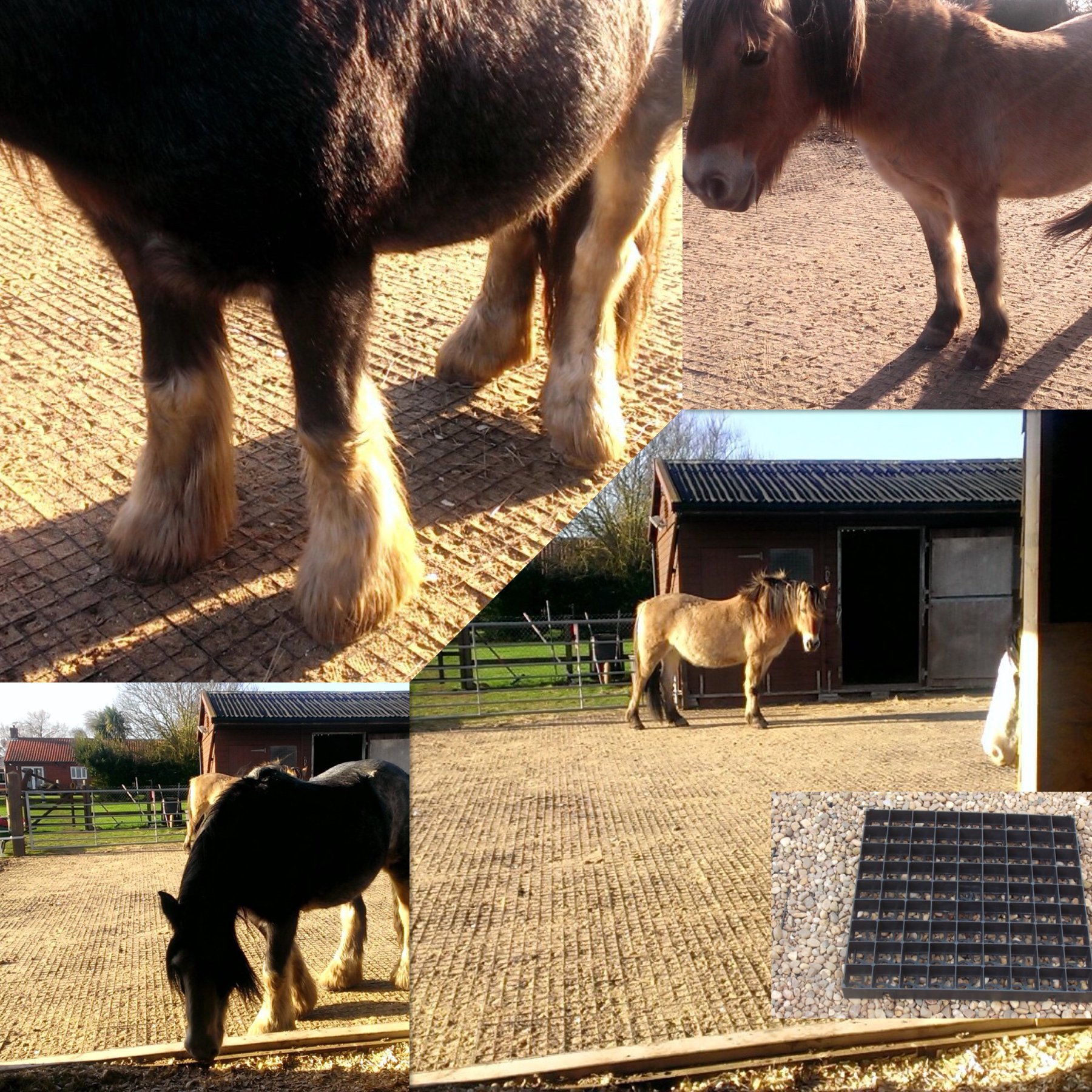 Ecodeck - EQUIDECK – HORSE EQUESTRIAN GROUND STABILITY...
