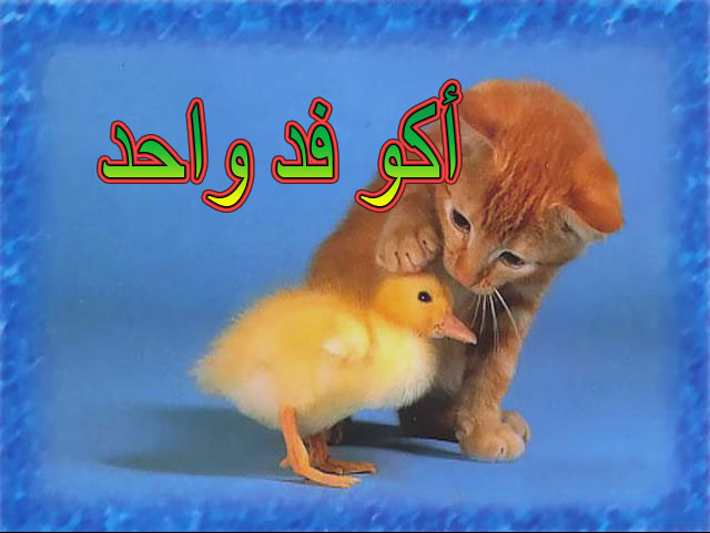 أكو فد واحد | Facebook