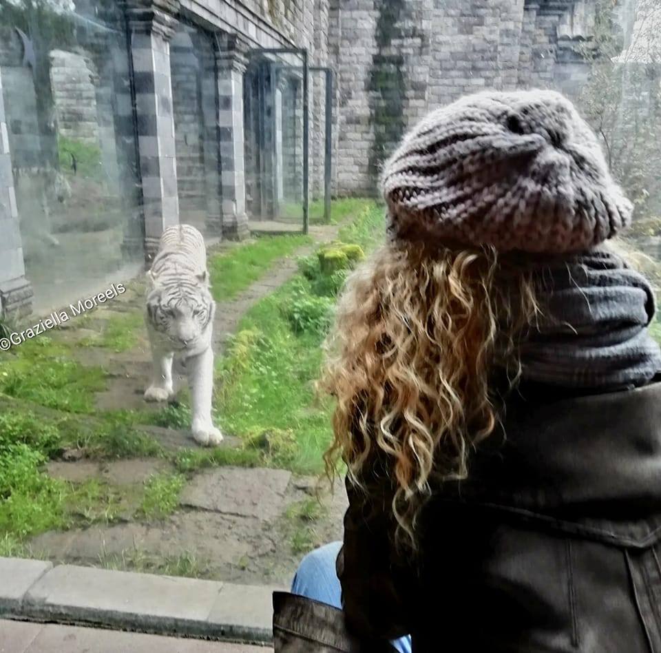pairi-daiza-officiel-photos-cr-ations-facebook