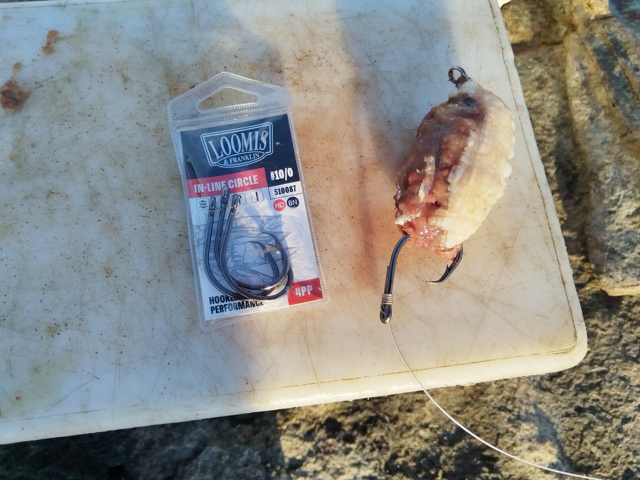 100 GT 2X Offset Circle Fishing hooks size 8 - 100 hooks 7384