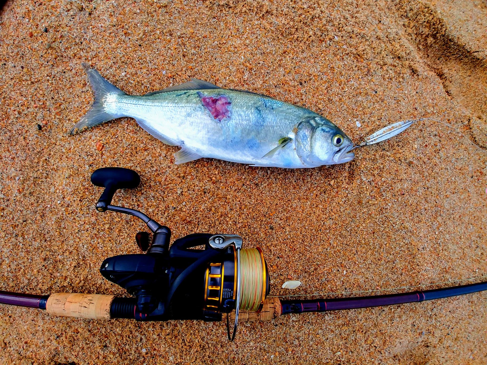 custom fishing lure runescape Neon Magic offering an attraction similar to a flutter spoon Element Custom Baits | Mugshot