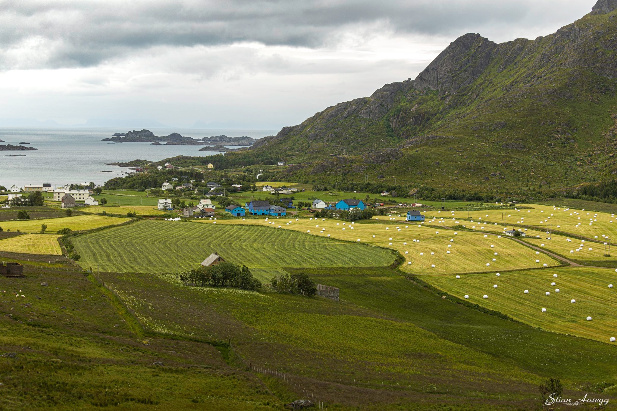LofotenMat SA - Bøndene i Lofoten er i gang med slåtta.... | Facebook