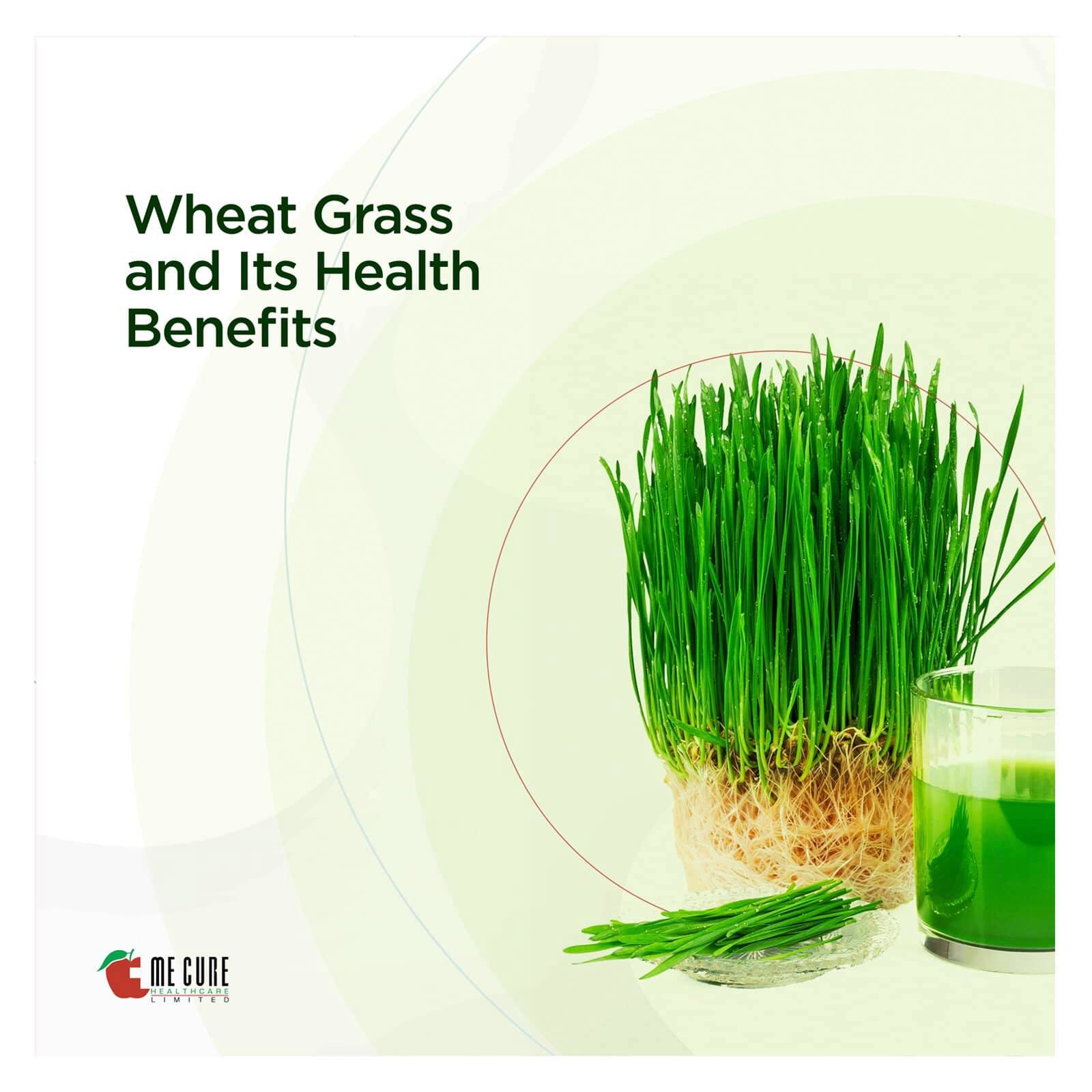does wheatgrass contain glutathione Baidyanath Wheat Grass Juice. This nutritious juice is a balanced blend of wheat grass, giloy & tulsi juice. It is a good source of minerals and vitamins. Apart from this it is GHK-Cu copper peptides +
