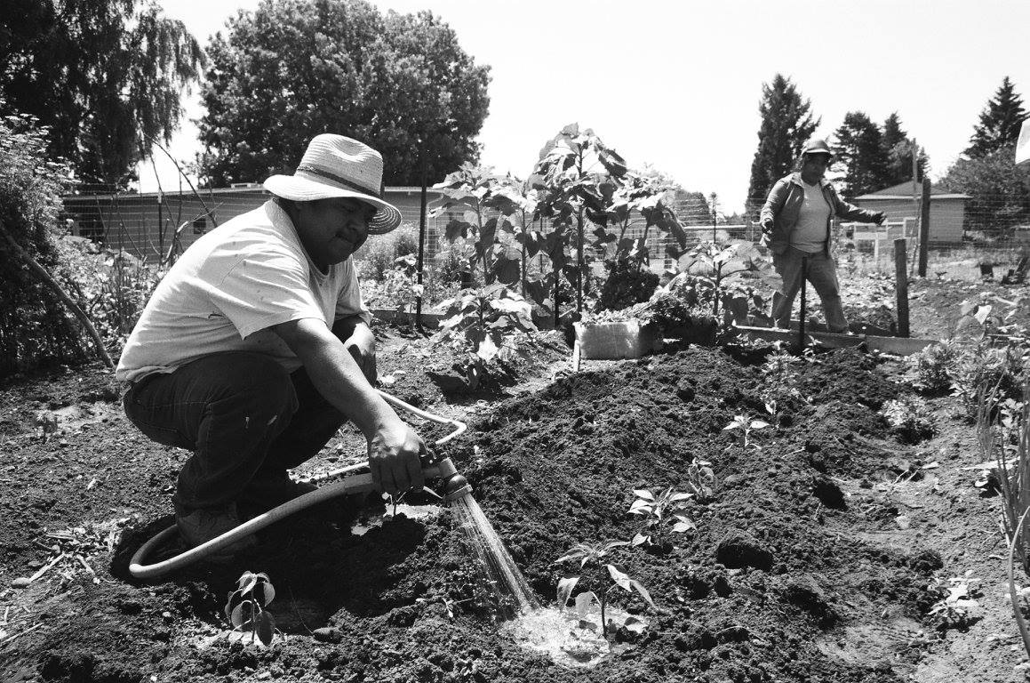 Outgrowing Hunger | Boring OR