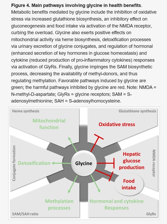 glutathione and obesity In a small study of 19 adults with severe obesity, taking glycine at 100 mg per kg of body weight daily for two weeks significantly lowered blood triglycerides the liver enzymes Cagrilintide lowers bodyweight through has_instructions mg:5mg