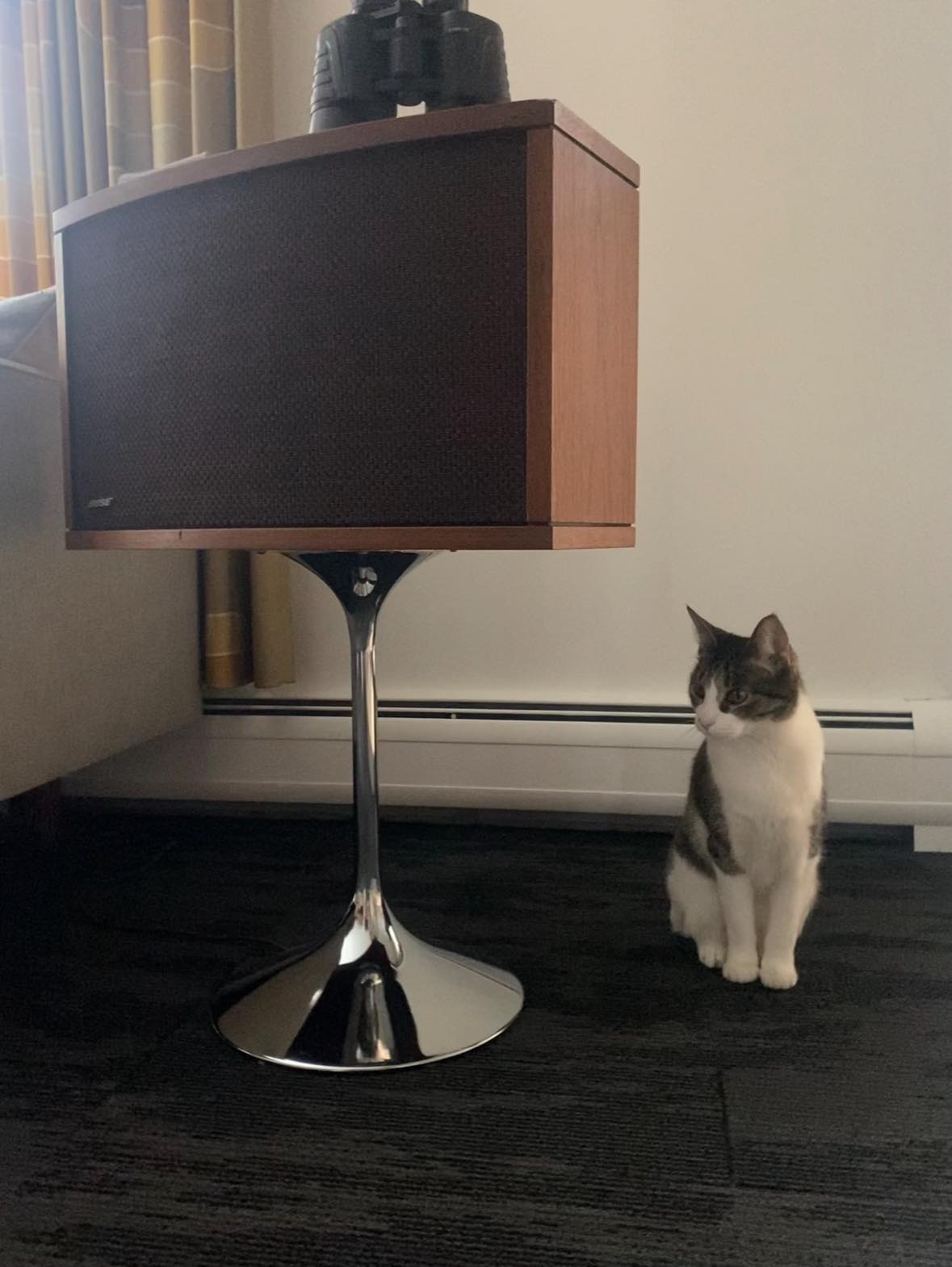 What are rare Bose speakers in very good shape worth?