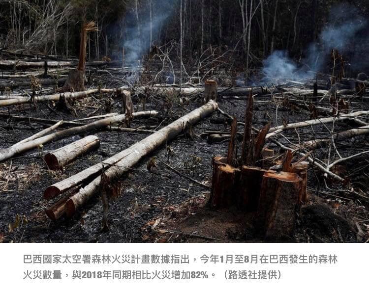 荒野基金會 - 在巴西雨林，一戶農家，是一顆炸彈，這是徐仁修老師形容農夫整地農耕養牛後對環境的影響；而一位巴西總統索納... | Facebook