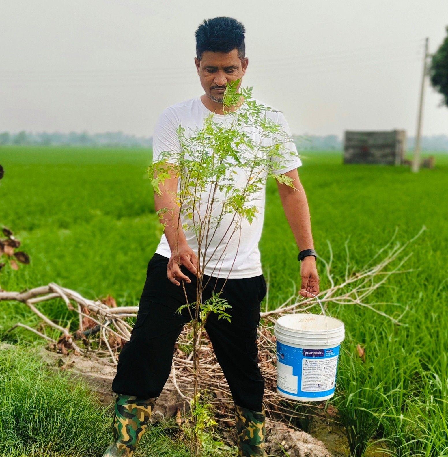 Raj Kumar - Trees planted today will take twenty years to... | Facebook