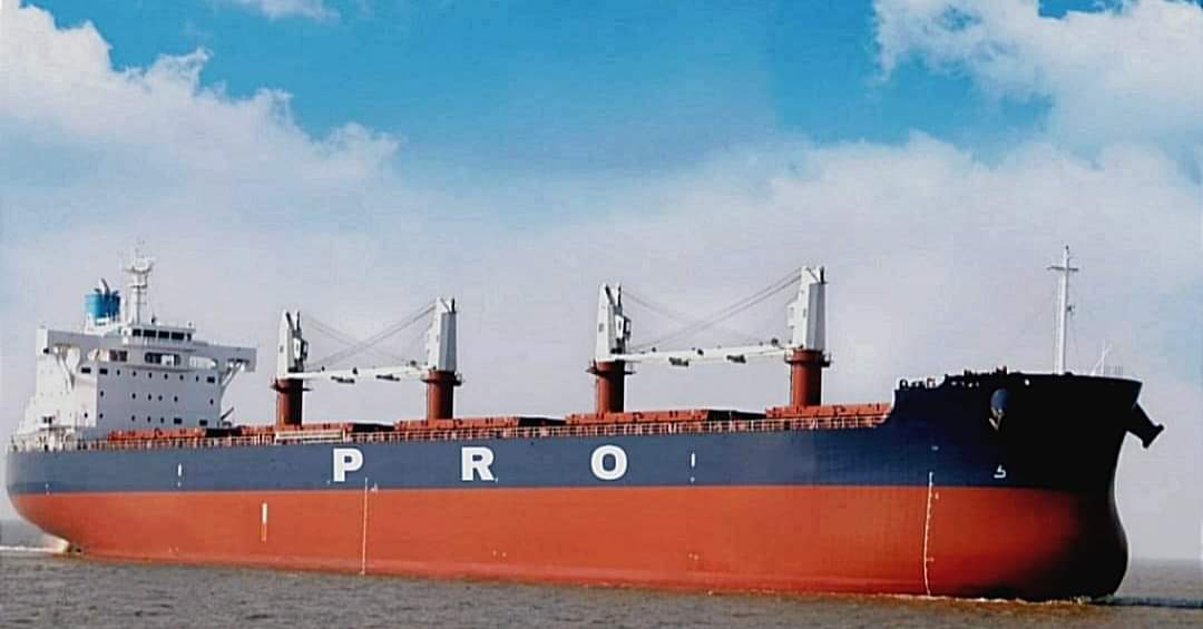 PRO Bulk Shipping
