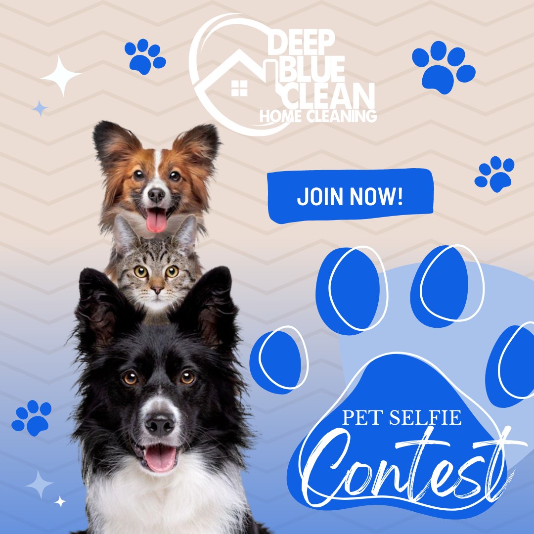 Deep Blue Clean - 📢🐾 Calling All Pet Lovers! Enter Our...