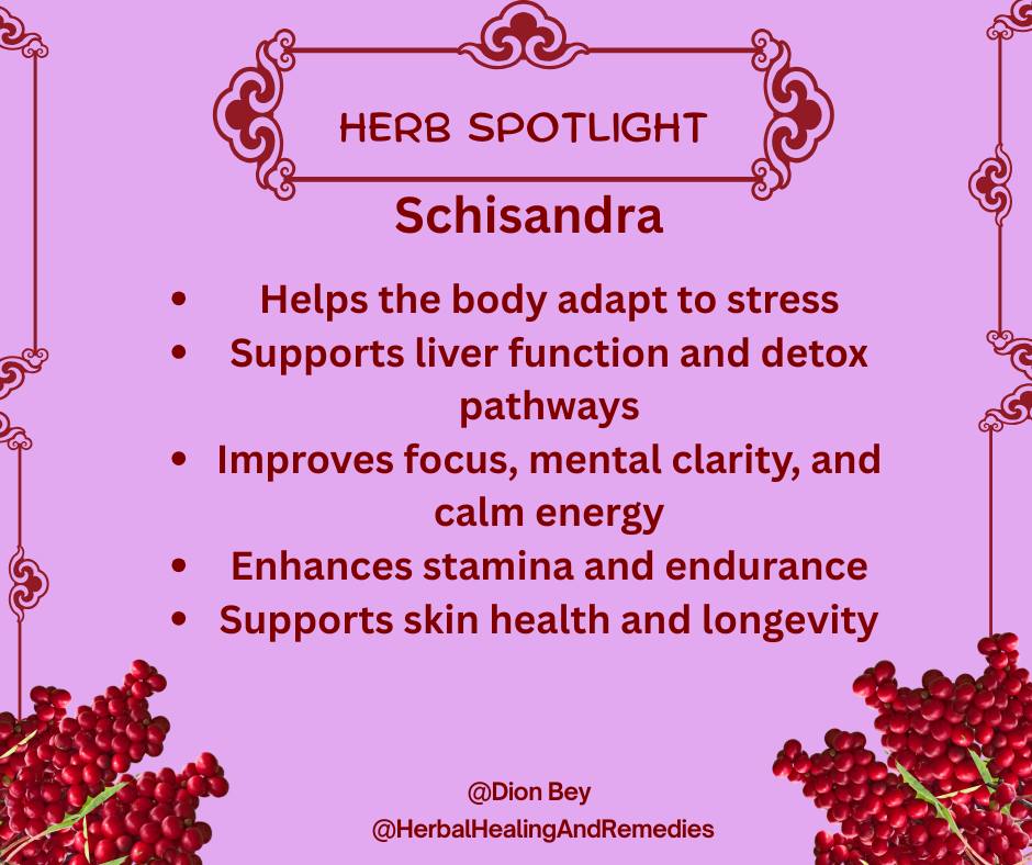 What makes Schisandra berry a powerhouse in traditional and modern health? 🍒 Its potent antioxidants may support liver function, stress resilience, and more