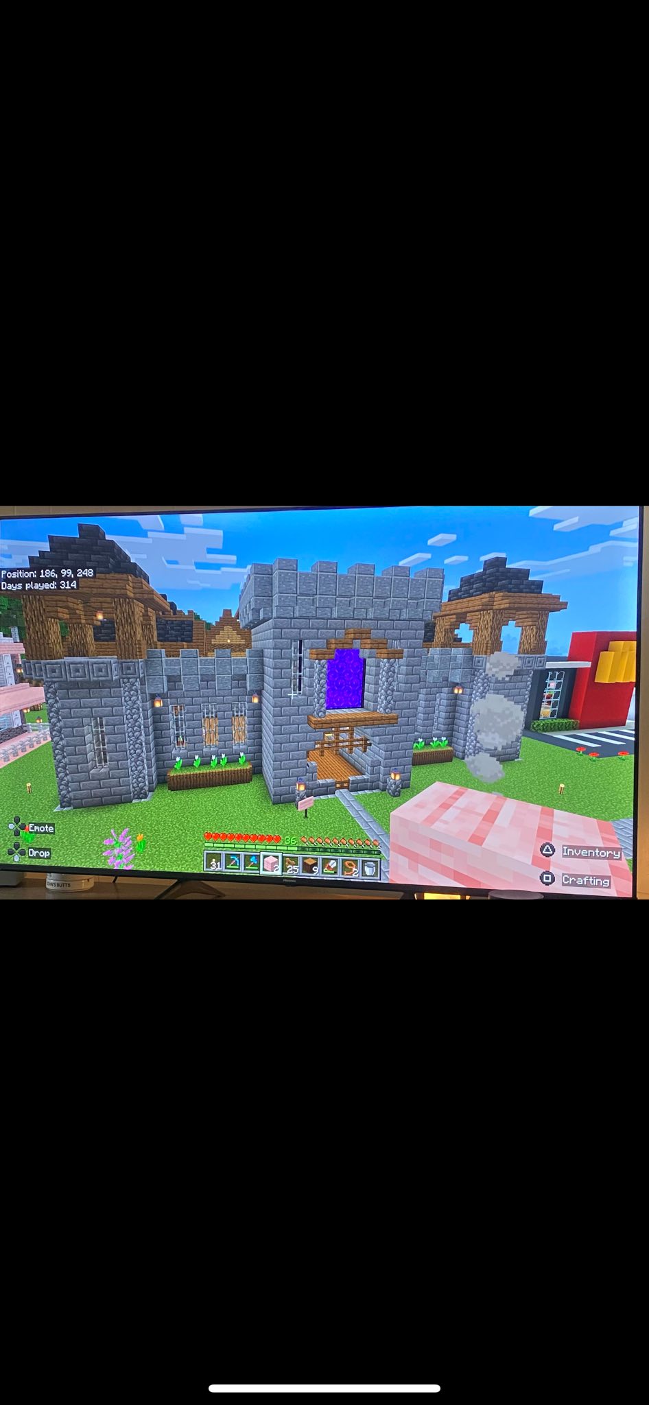 Girls only Minecraft realm