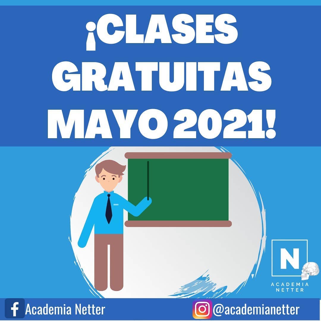 Academia Netter