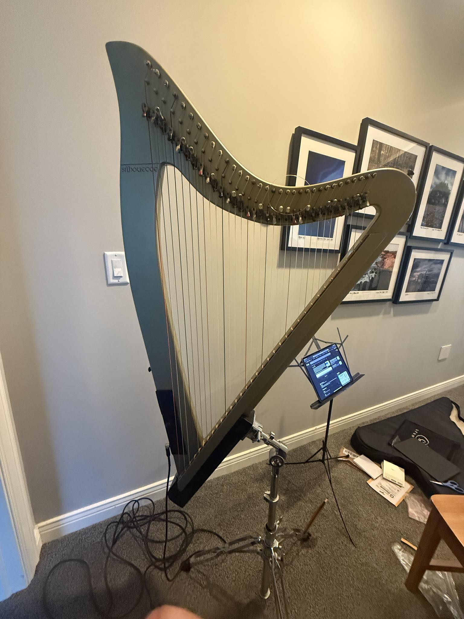 Nora and Gwen's first harp, a Dusty Strings Ravenna 34