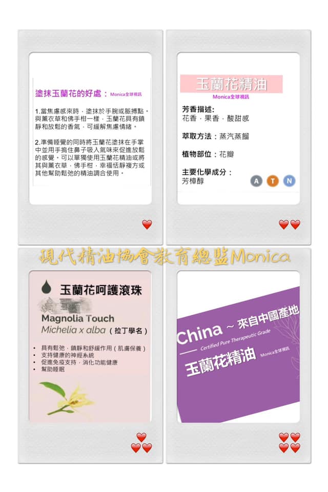 台灣現代精油協會 木蘭花 也稱為玉蘭花 是一種放縱的熱帶花卉 能帶來情感上的舒緩效果 在中國和泰國的傳統健康實踐中 Facebook