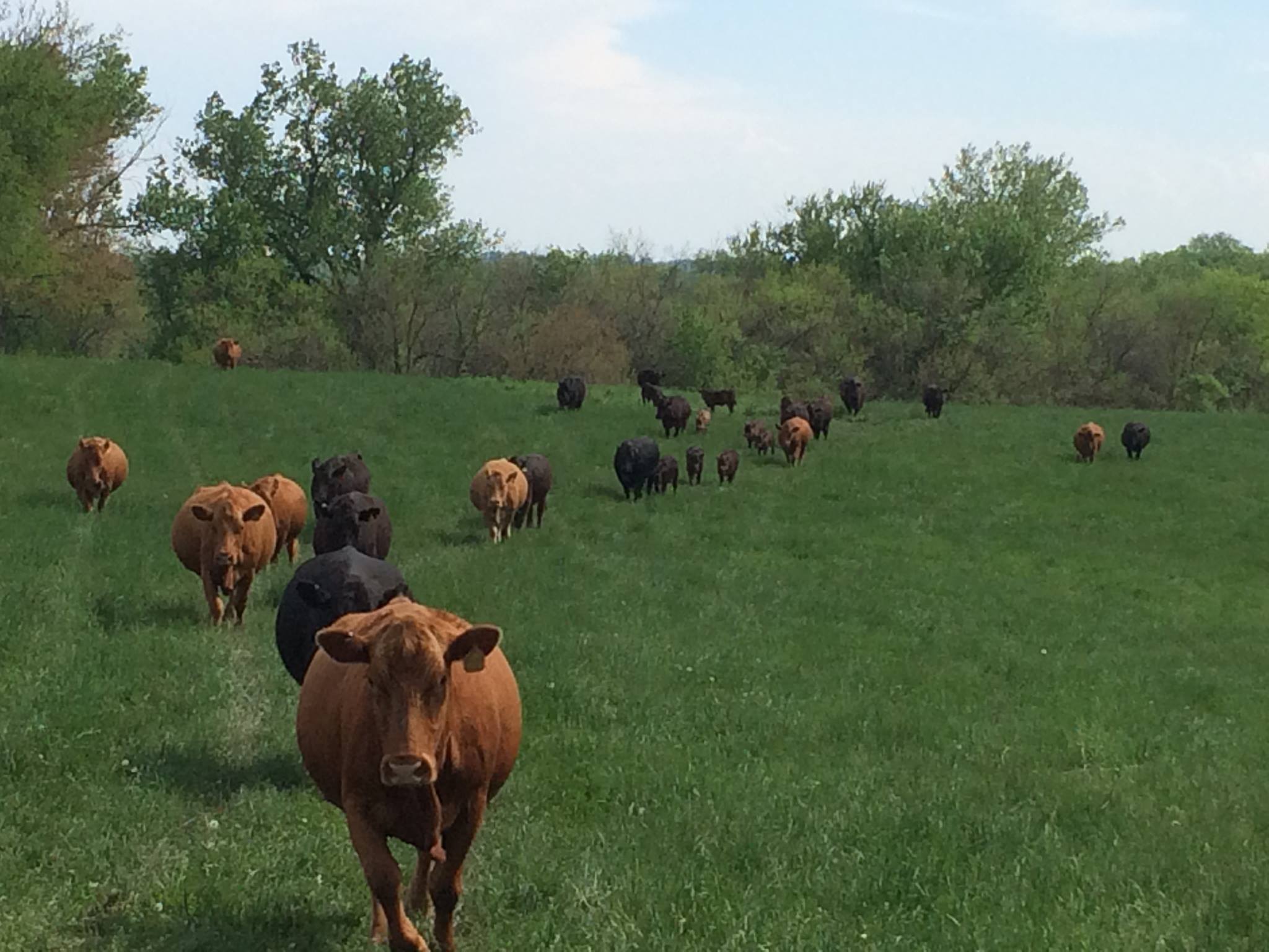 Rocker B Ranch | Indianola IA