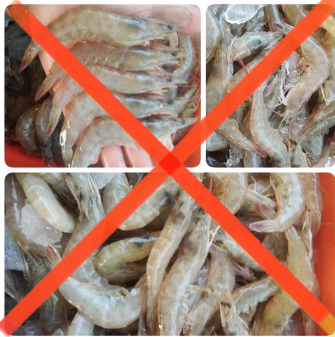 ชาบูฟองดู - ชาบูฟองดูขอยกเลิกรายการกุ้ง ในราคาบุฟเฟ่ต์... | Facebook