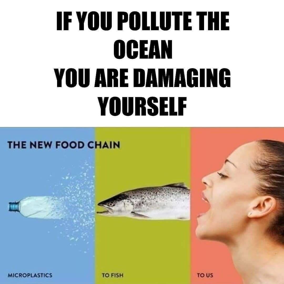 Clean Goa