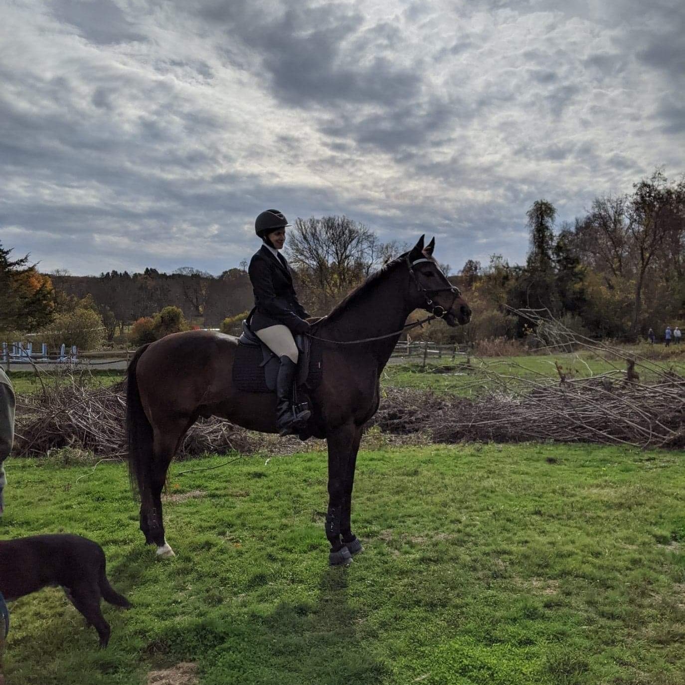 Meet the... - Front Range Equine Performance & Rehabilitation | Facebook