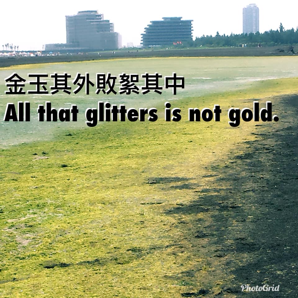 魯曼英文 - glitter v.閃閃發亮 gold n. 黃金 編按：本句照英文字面意思翻譯為：... | Facebook