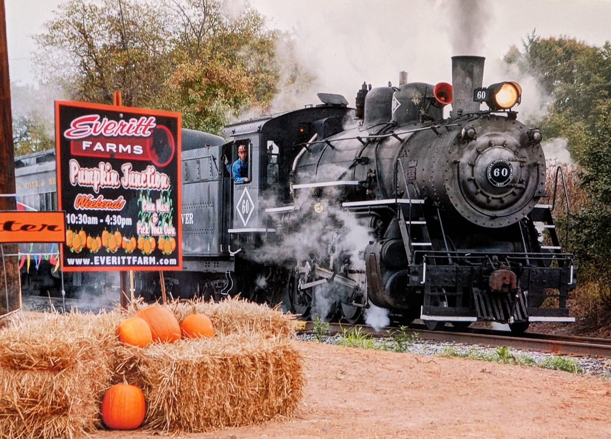 Fall Family Fun - Everitt Farms at Pumpkin Junction