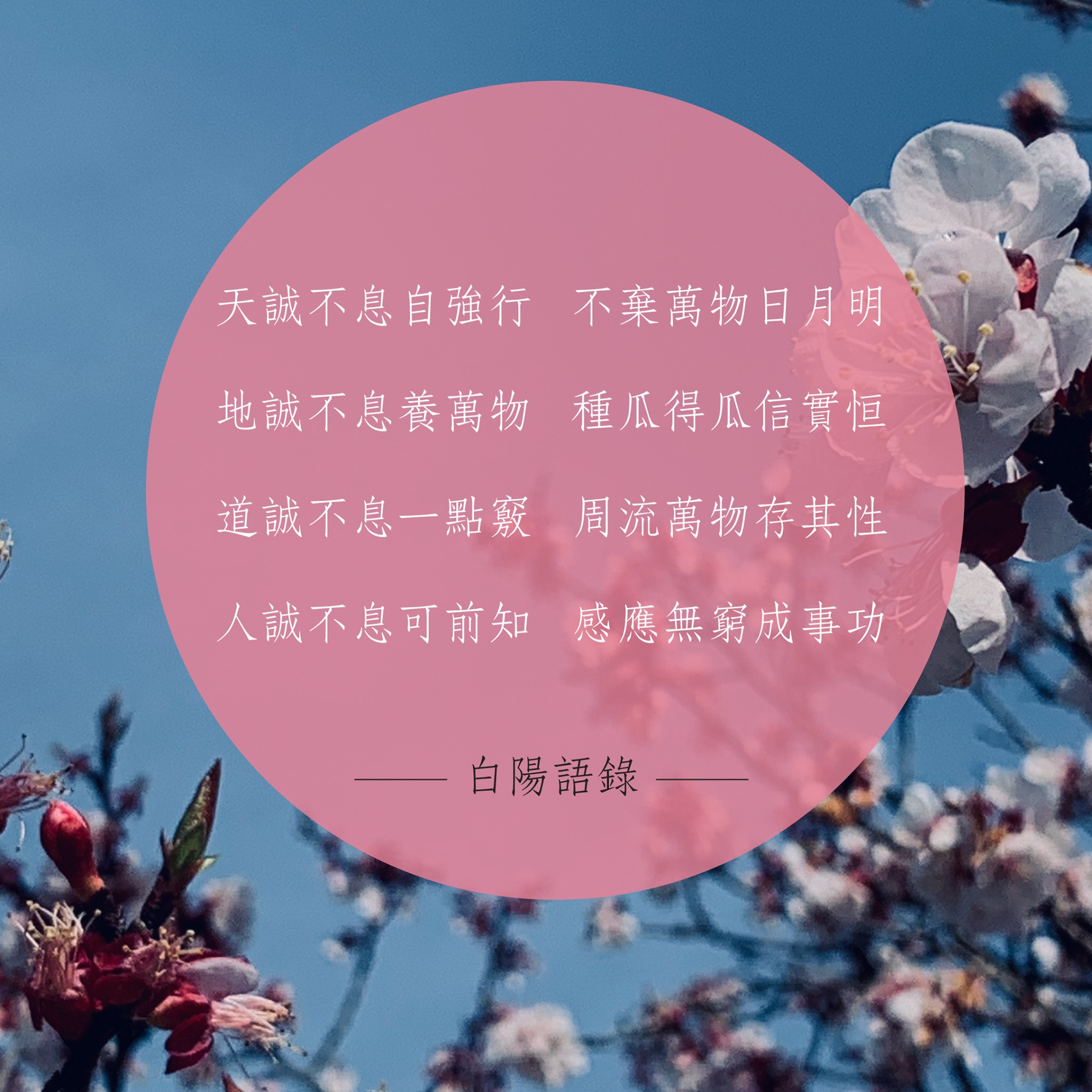 白陽電視台 - 【白陽語錄】 天誠不息自強行 不棄萬物日月明 地誠不息養萬物 種瓜得瓜信實恒 道誠不息一點竅... | Facebook